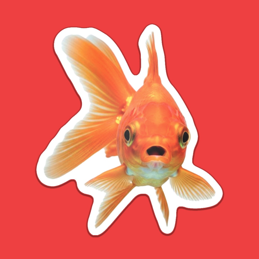 GOLDFISH STICKER - PACK OF 10