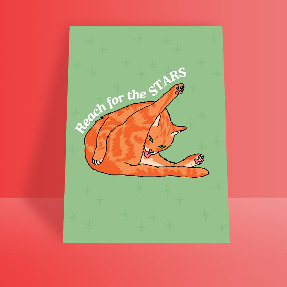 CAT LICKING BUTT A4 PRINT - PACK OF 3