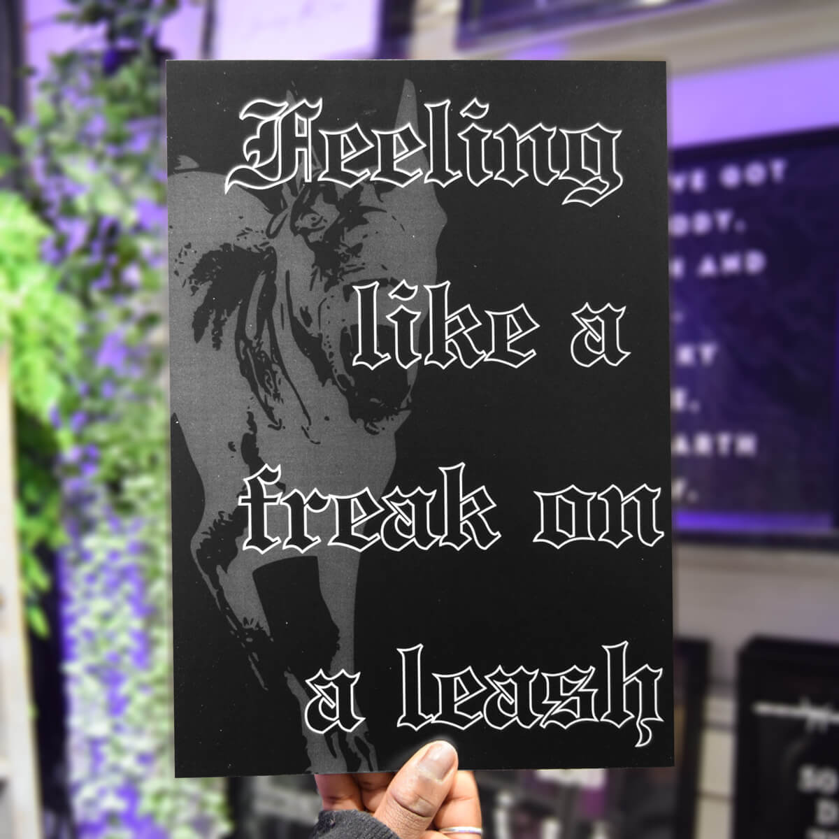 FREAK ON A LEASH A4 PRINT - PACK OF 3 - Extreme Largeness Wholesale