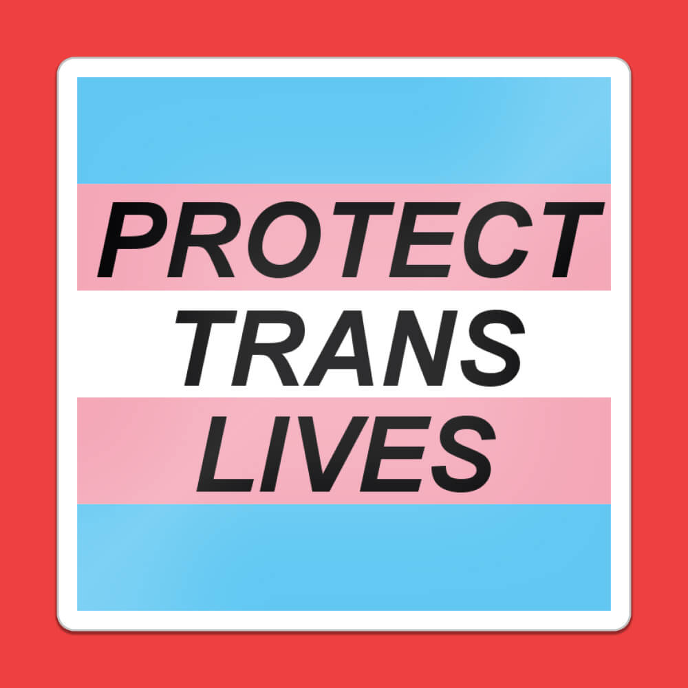 Protect Trans Lives Sticker • Extreme Largeness Wholesale