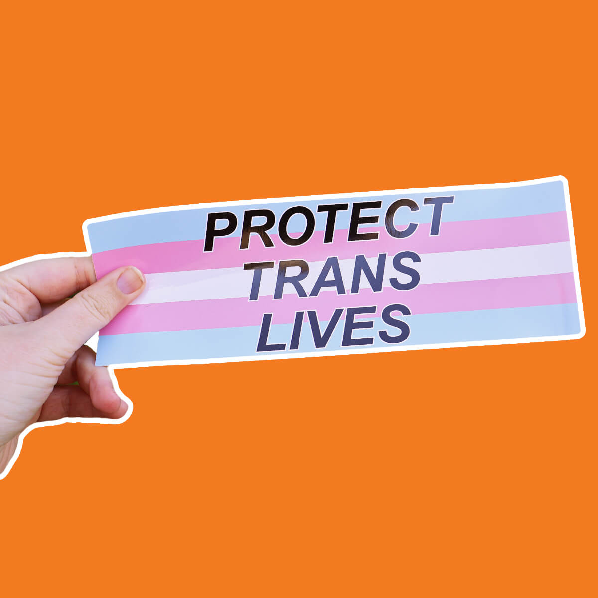 PROTECT TRANS LIVES BUMPER STICKER - PACK OF 5 - Extreme Largeness Wholesale