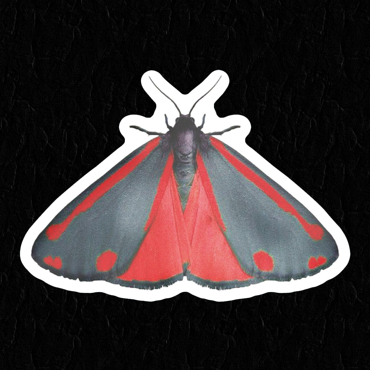 Moth Sticker • Extreme Largeness Wholesale