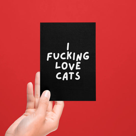 I FUCKING LOVE CATS POSTCARD - PACK OF 5 - Extreme Largeness Wholesale