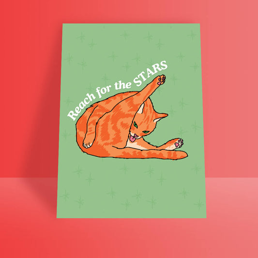 CAT LICKING BUTT A4 PRINT - PACK OF 3 - Extreme Largeness Wholesale
