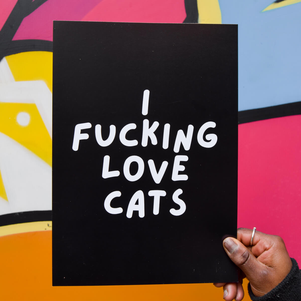 I FUCKING LOVE CATS A4 PRINT - PACK OF 3