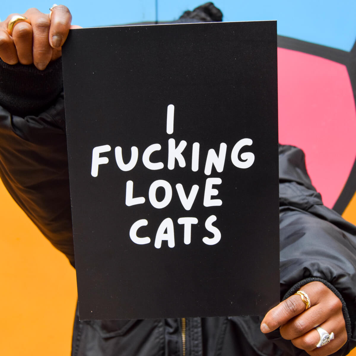 I FUCKING LOVE CATS A4 PRINT - PACK OF 3
