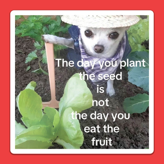 Plant the Seed Sticker • Extreme Largeness Wholesale
