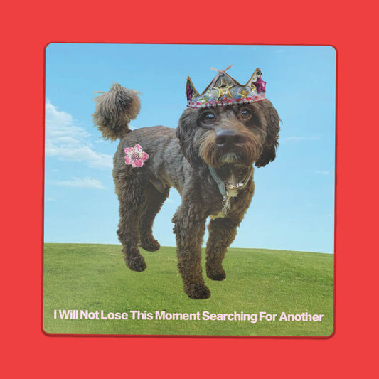 I Will Not Lose This Moment Searching For Another Sticker • Extreme Largeness Wholesale