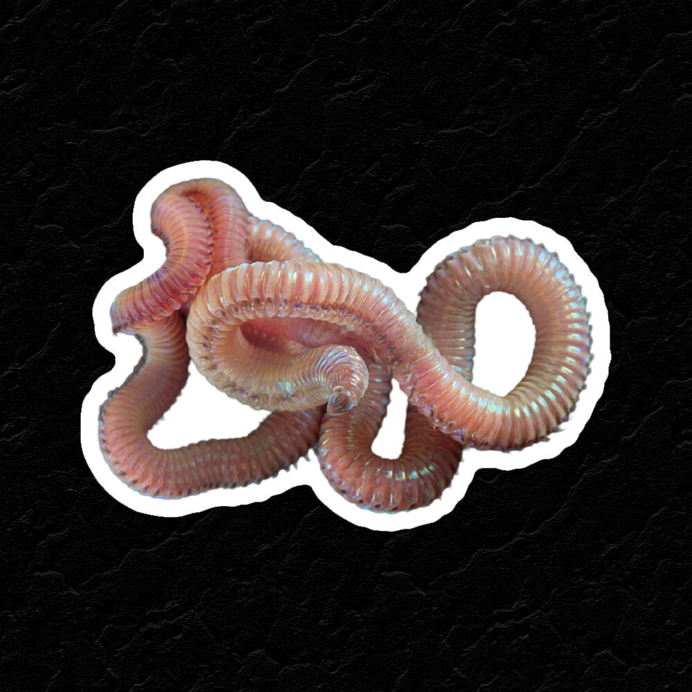 CREEPY WORM STICKER