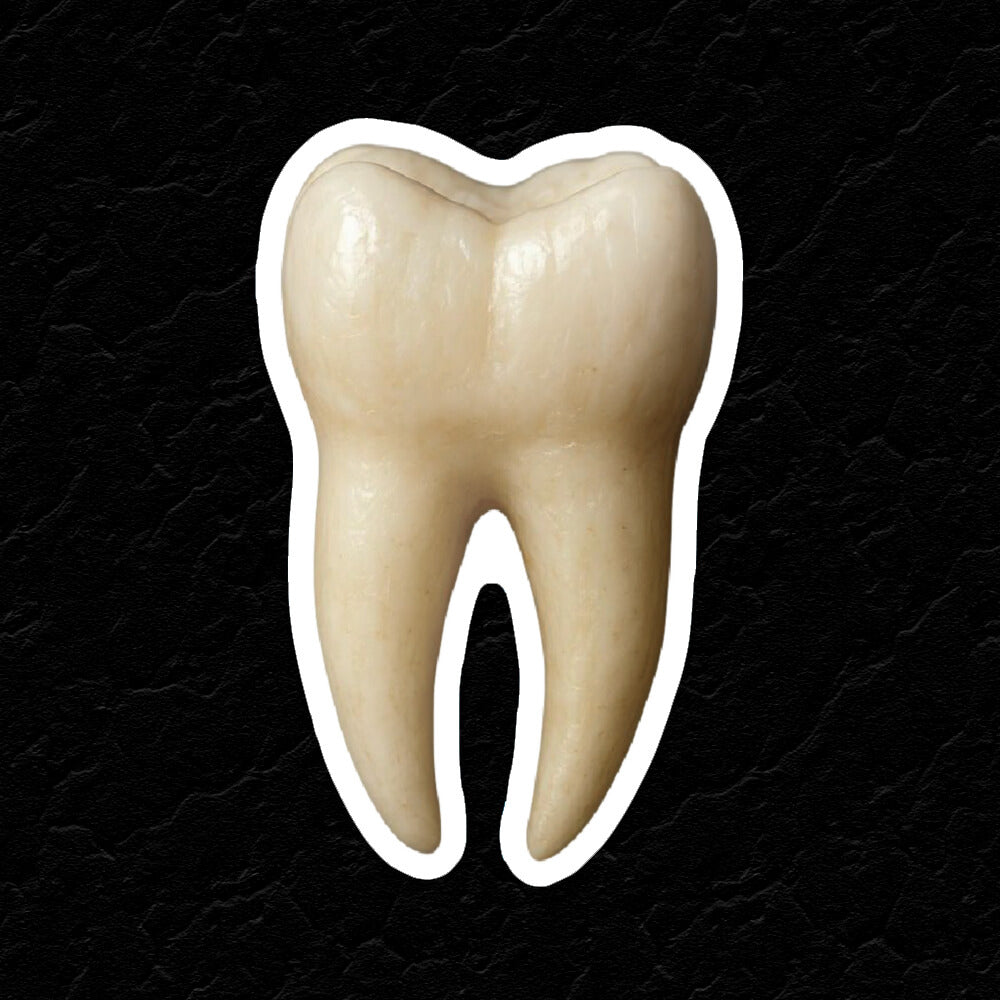 TOOTH STICKER
